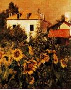 Gustave Caillebotte Sunflowers, Garden at Petit Gennevilliers USA oil painting artist